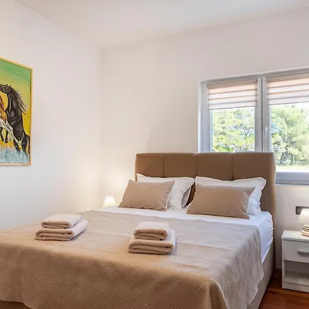 Jani 펜션 자다르